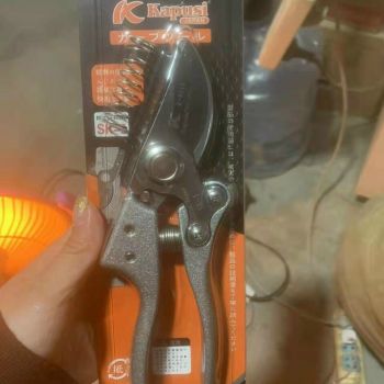 KÉO CẮT CÀNH DẠ KAPUSI